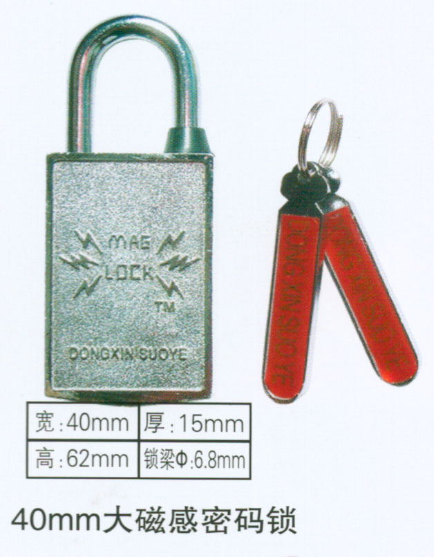 電力40mm大磁感密碼表箱鎖,電力磁鎖,利德電力通開(kāi)表箱鎖